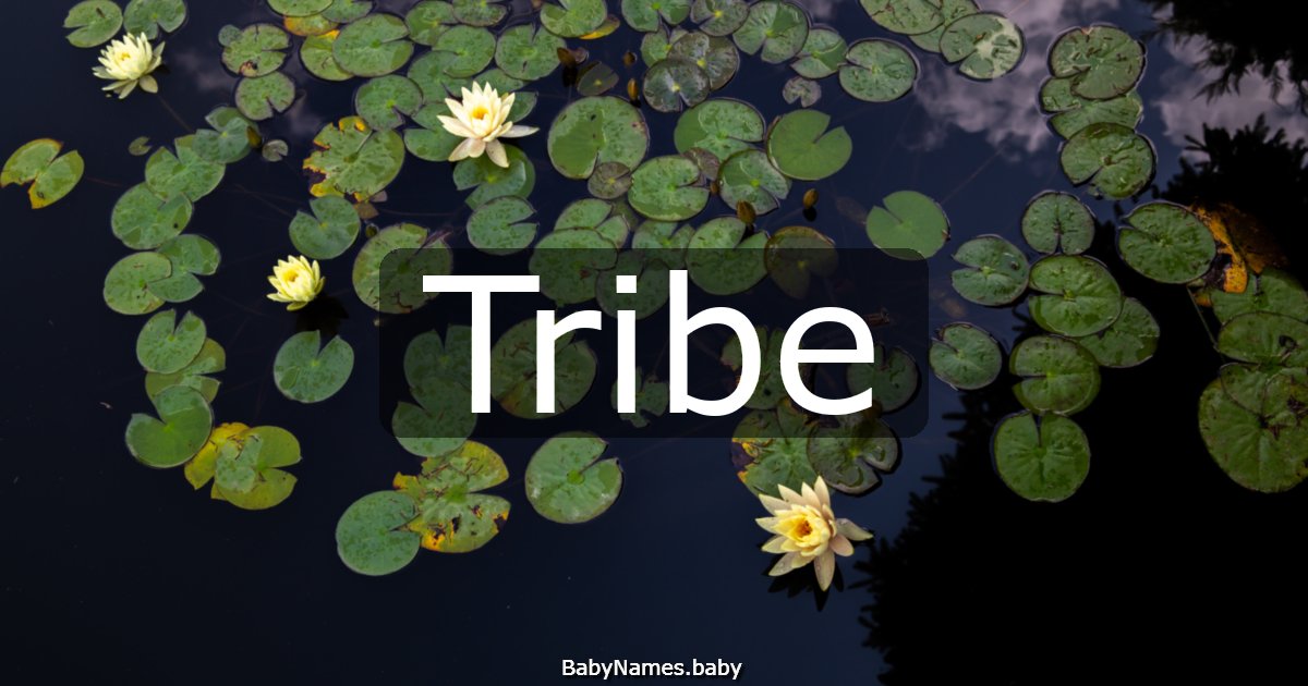 Tribe