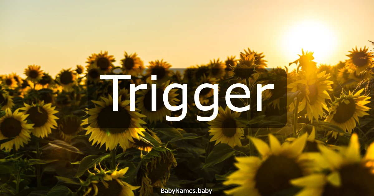Trigger