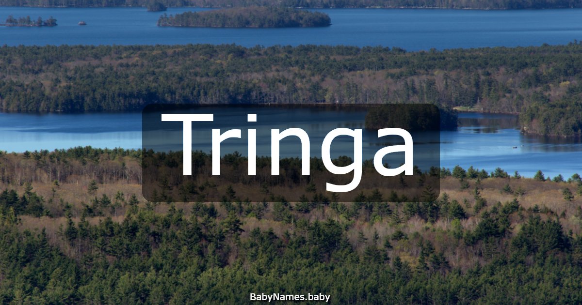 Tringa