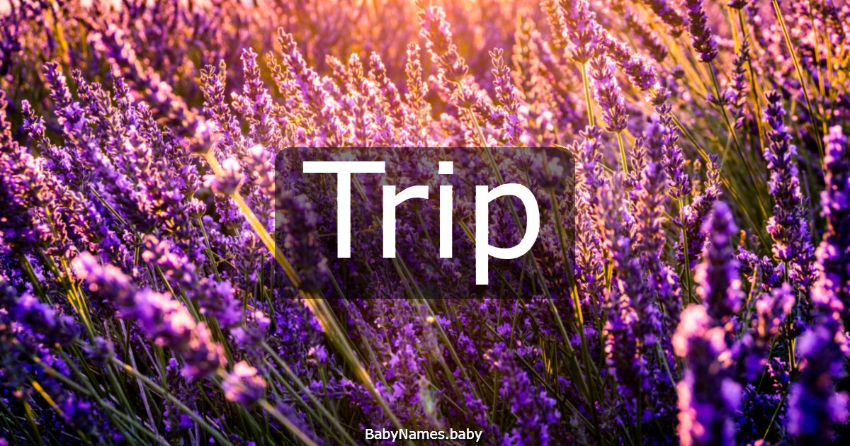 Trip