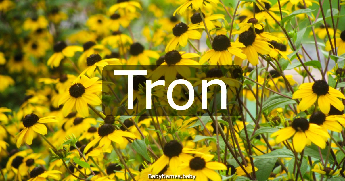 Tron