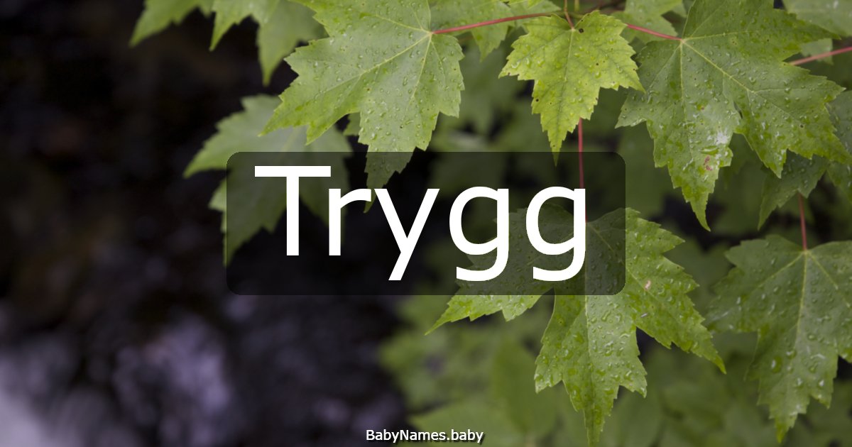 Trygg
