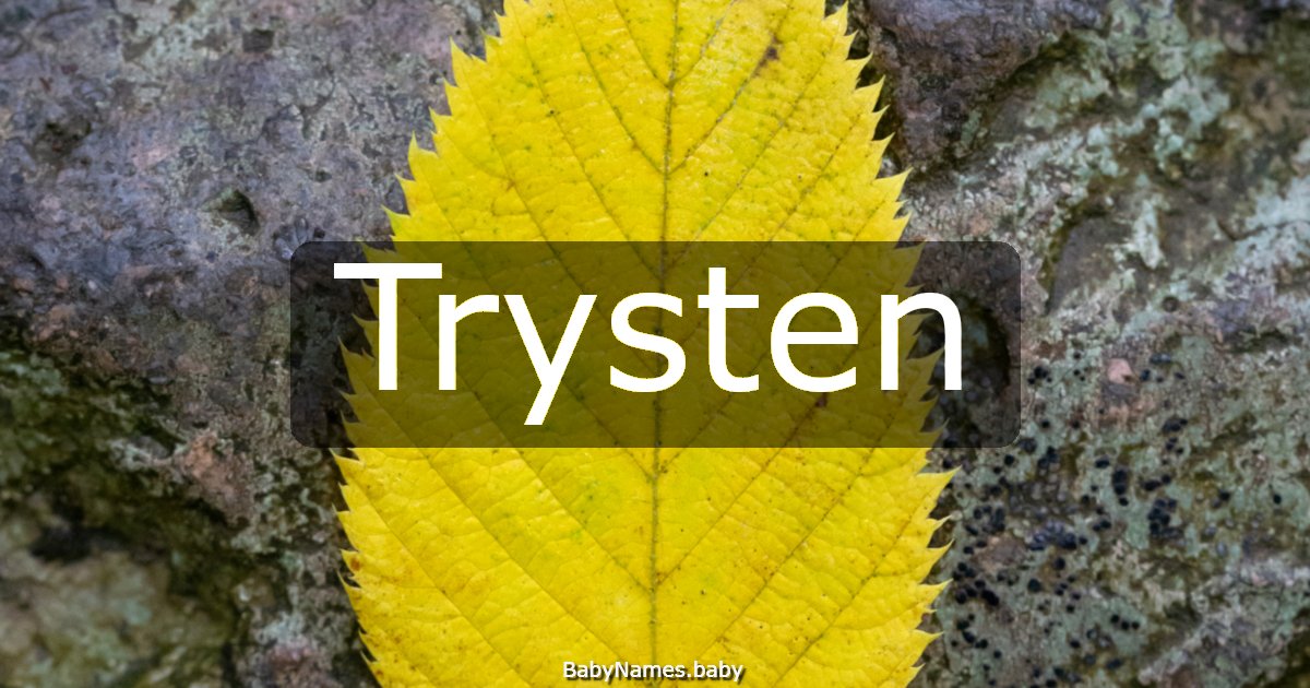 Trysten