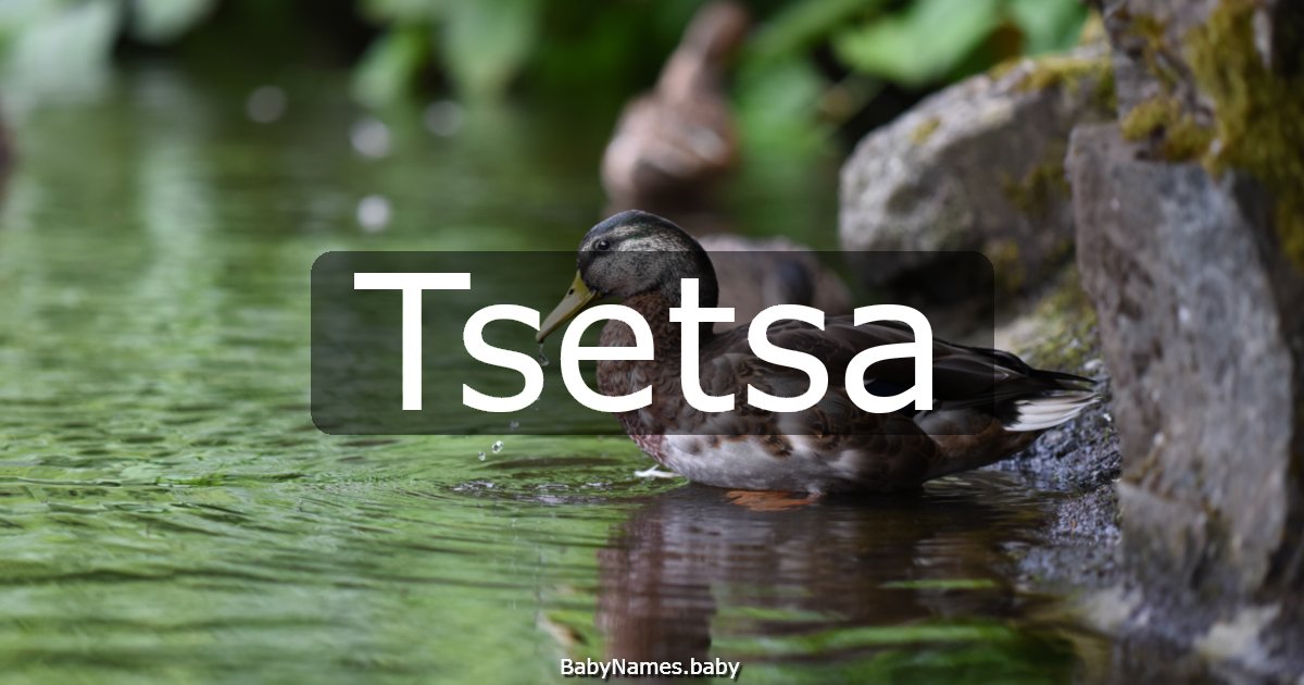 Tsetsa