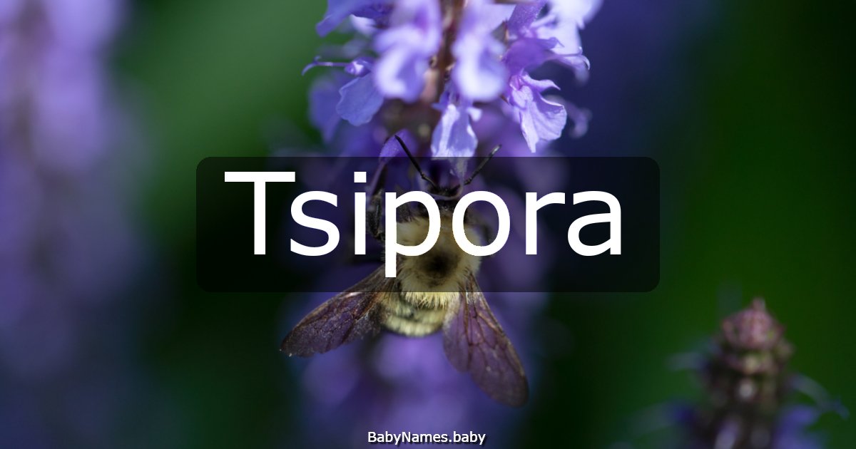 Tsipora