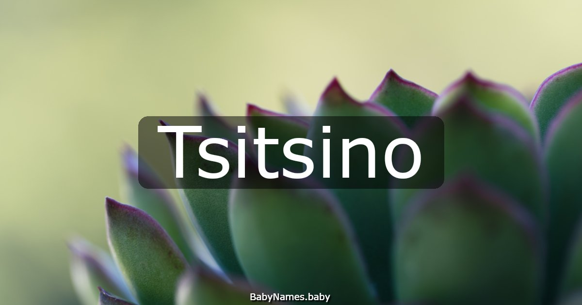 Tsitsino
