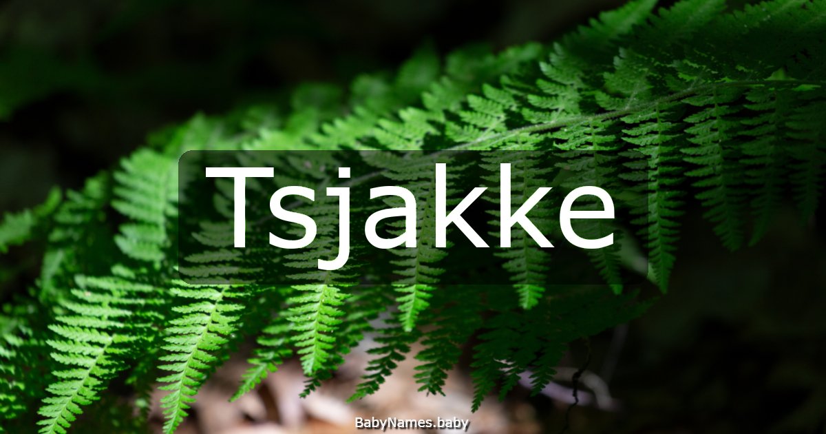 Tsjakke