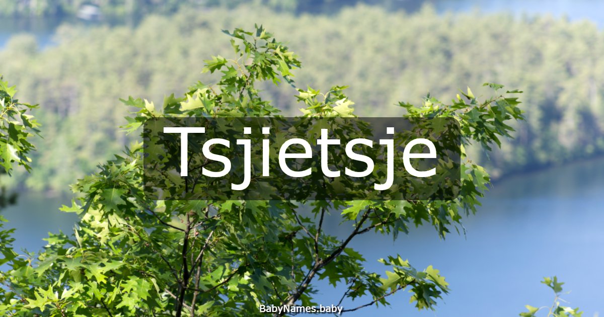 Tsjietsje