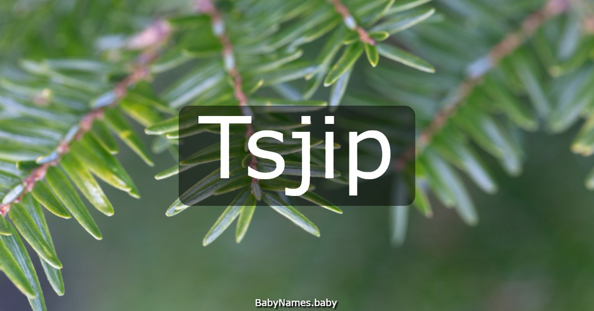 Tsjip