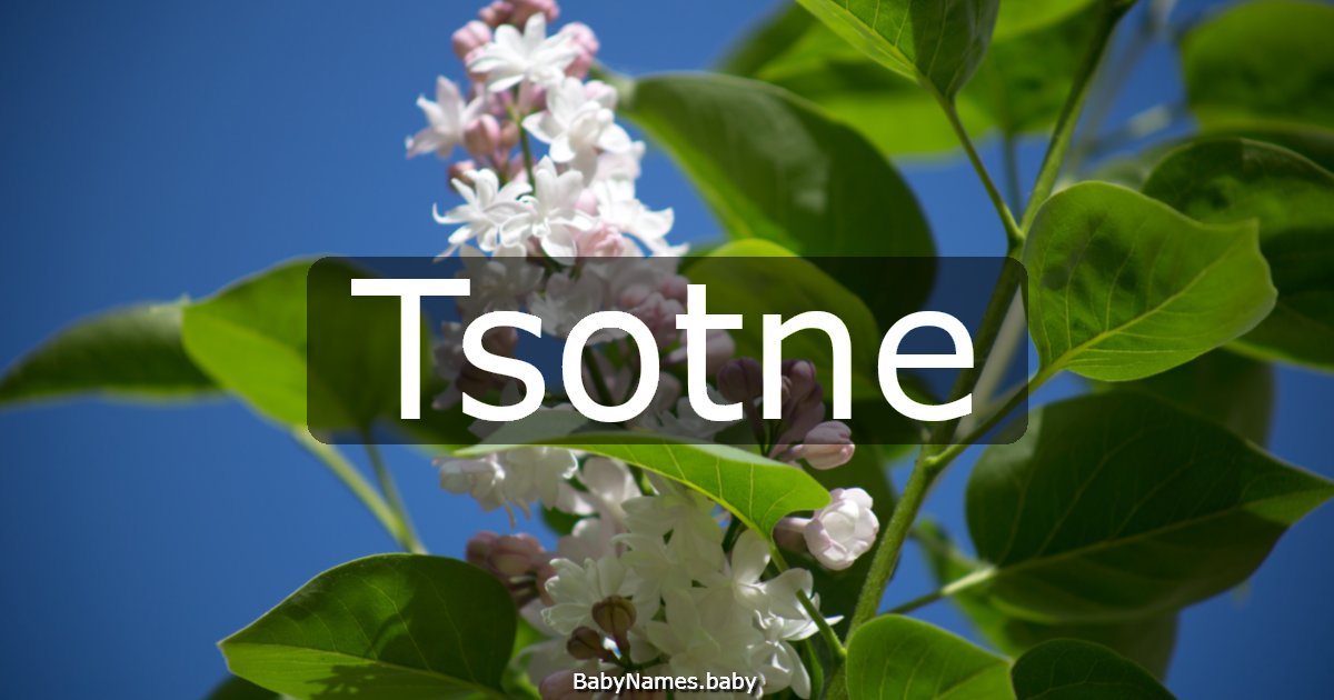 Tsotne