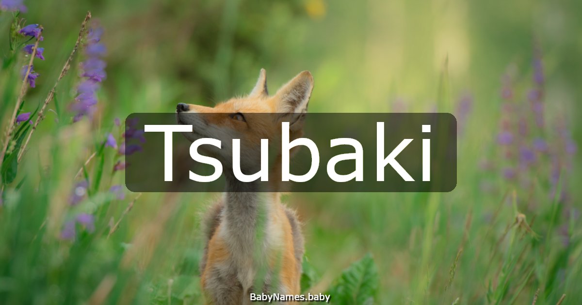 Tsubaki