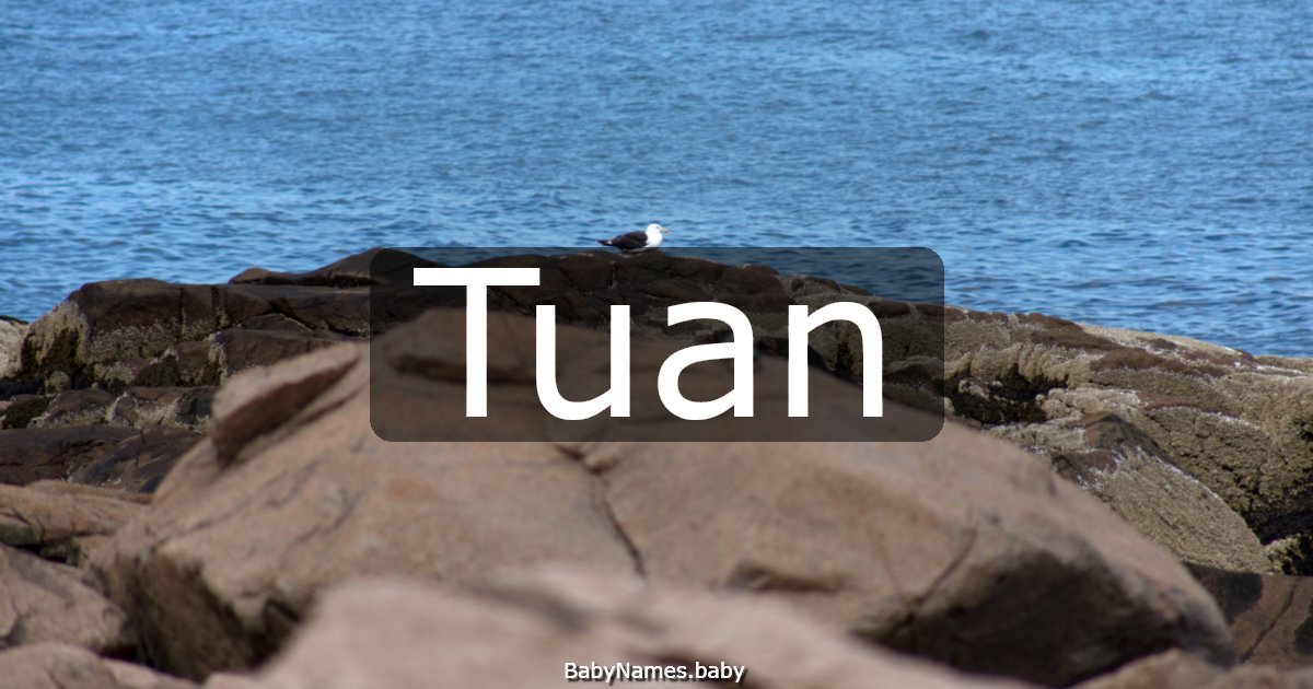 Tuan