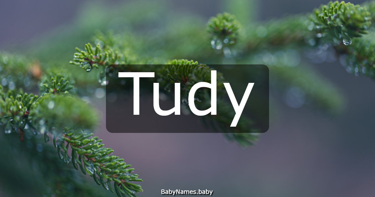 Tudy