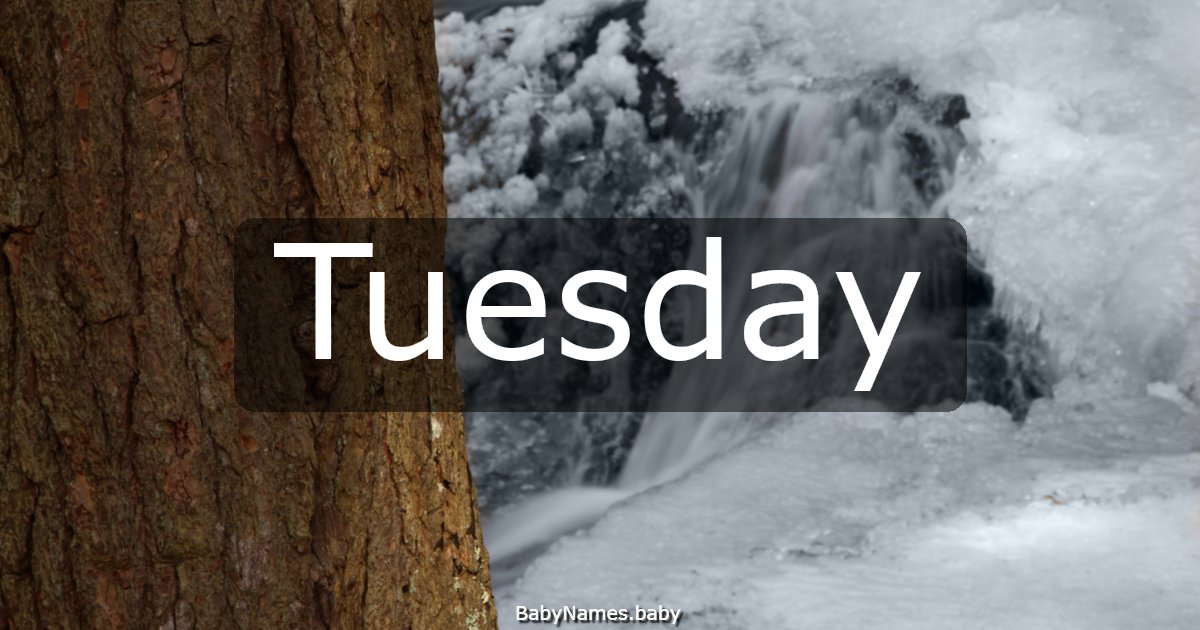 Tuesday