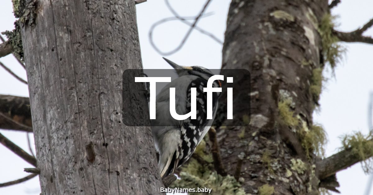 Tufi