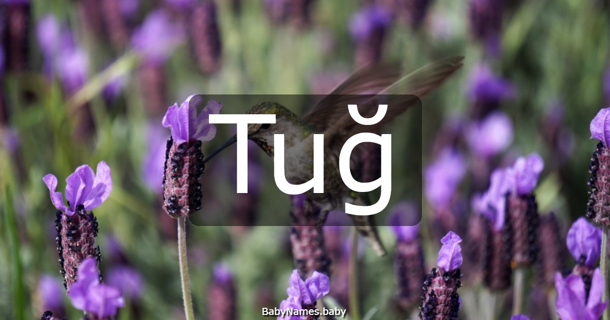 Tuğ