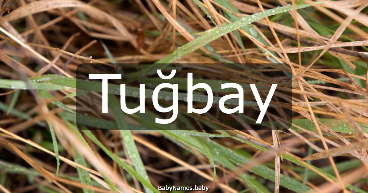Tuğbay