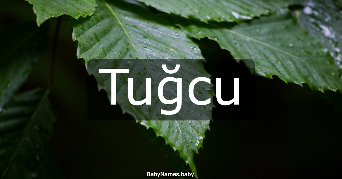 Tuğcu