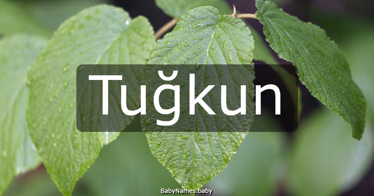 Tuğkun