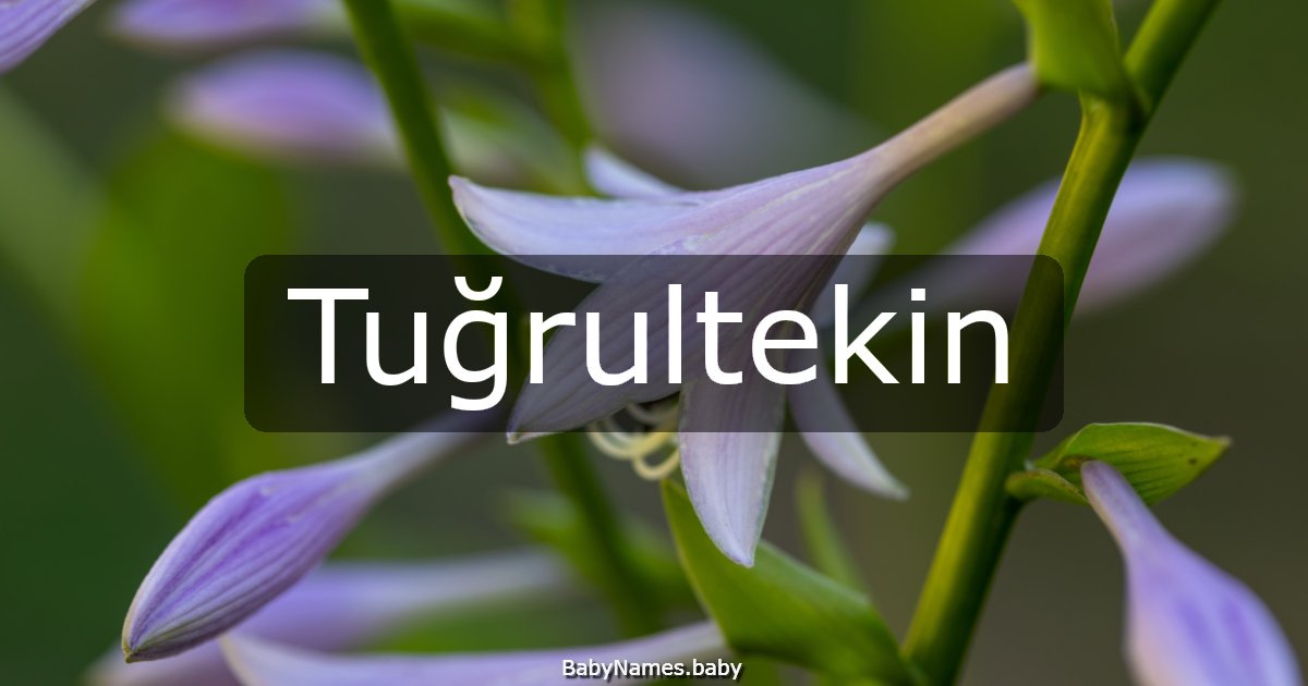 Tuğrultekin