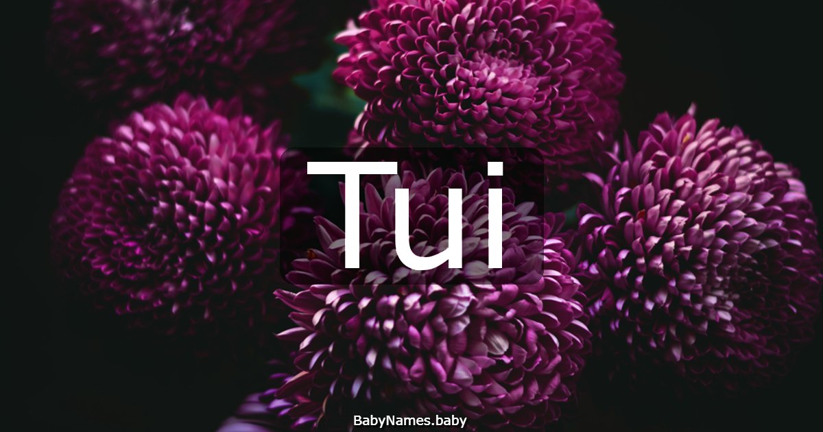 Tui