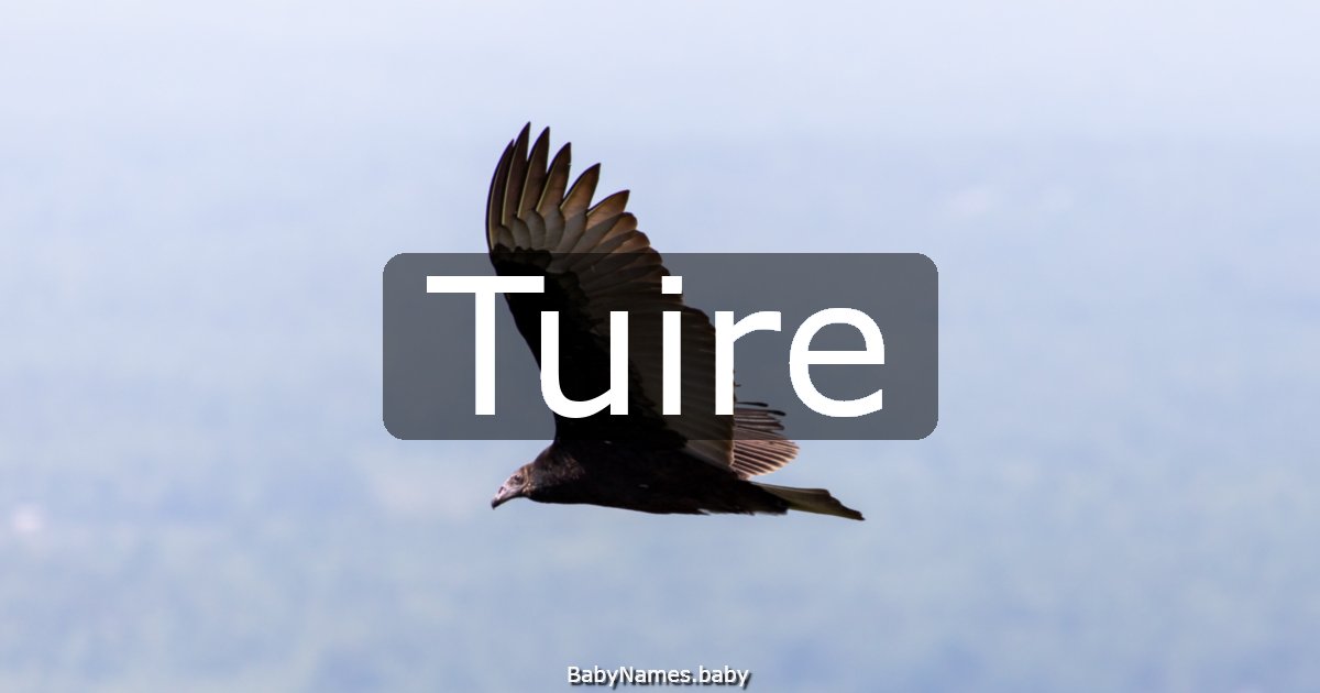 Tuire