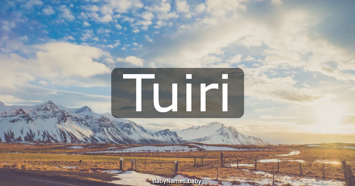 Tuiri