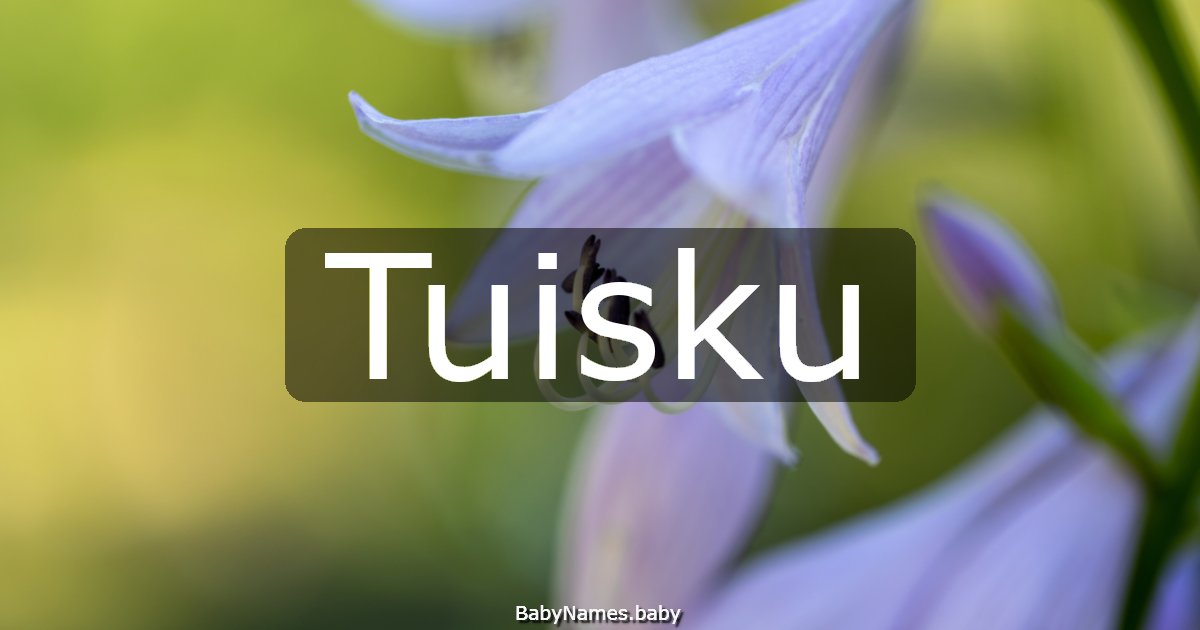 Tuisku
