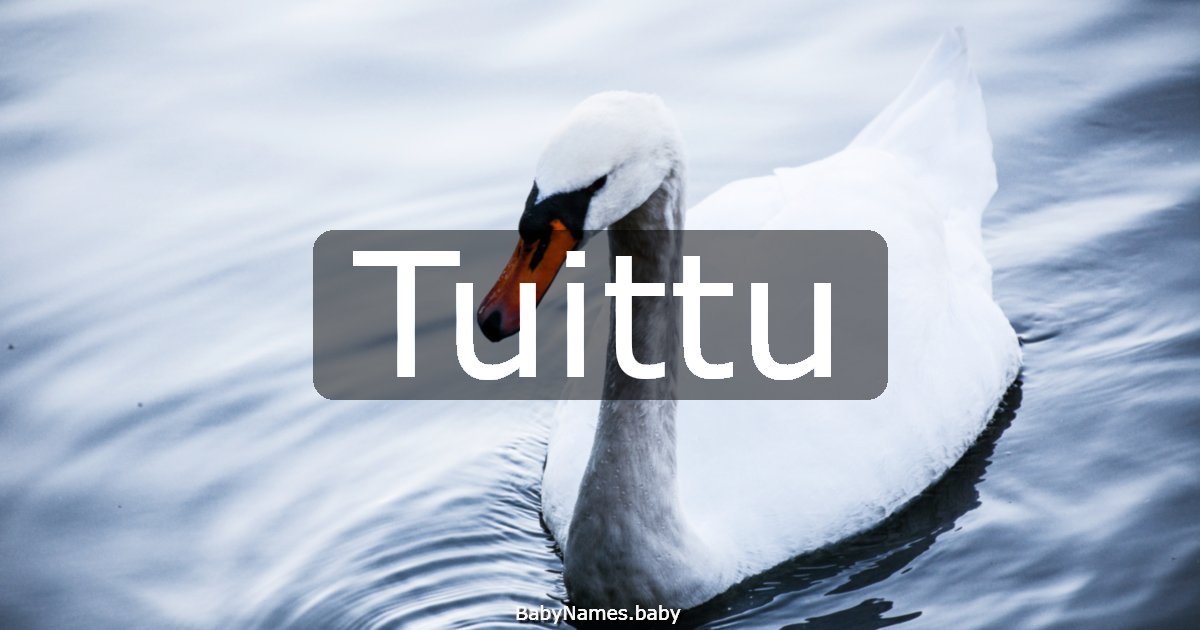 Tuittu