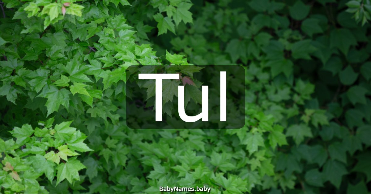Tul