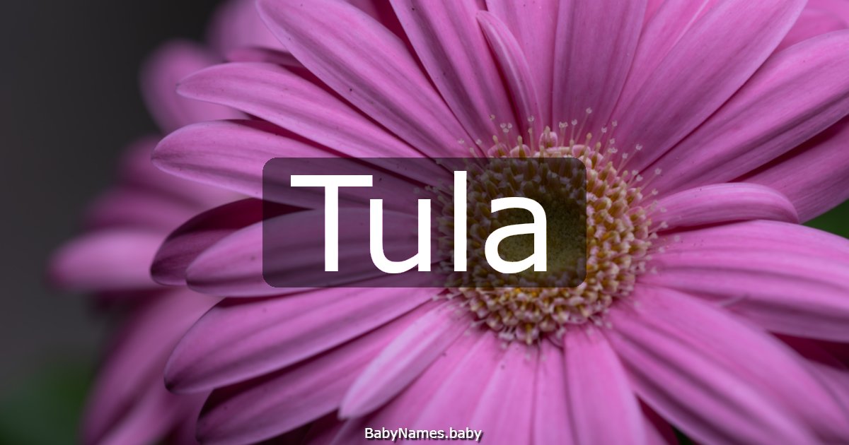 Tula