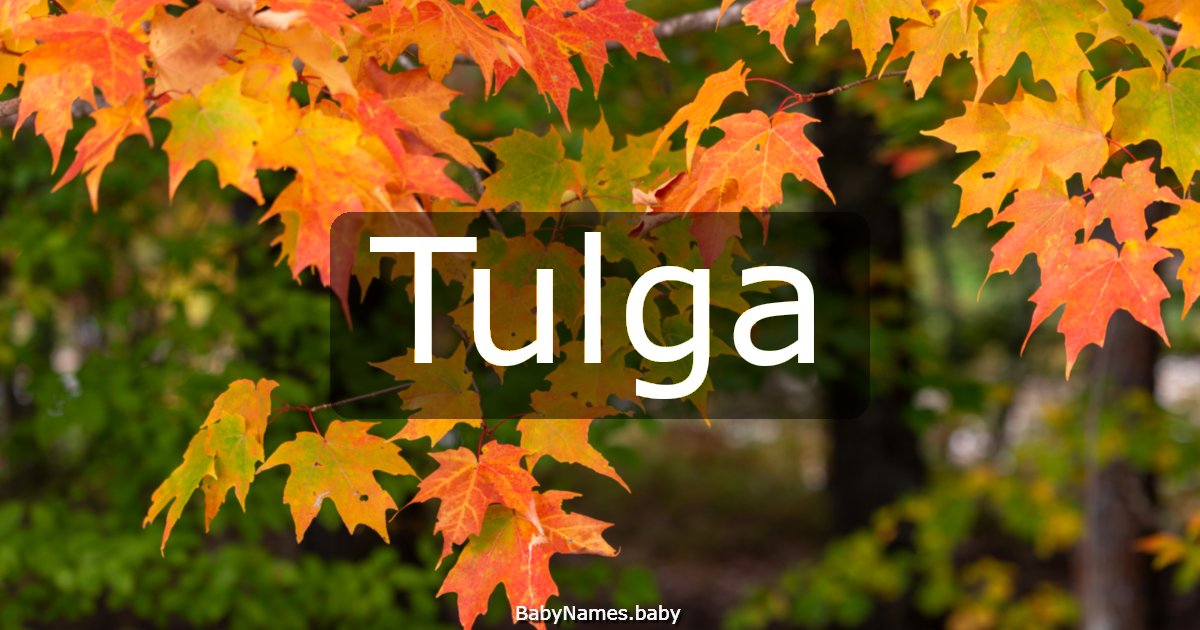 Tulga