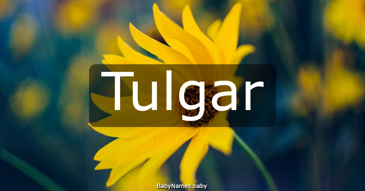 Tulgar