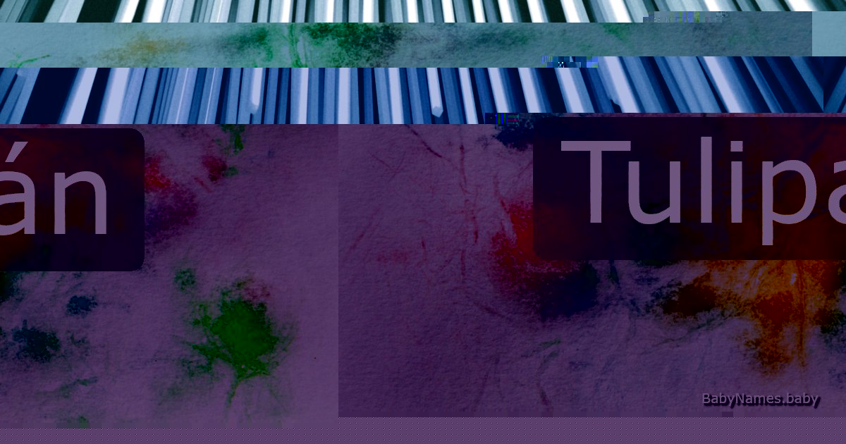 Tulipán