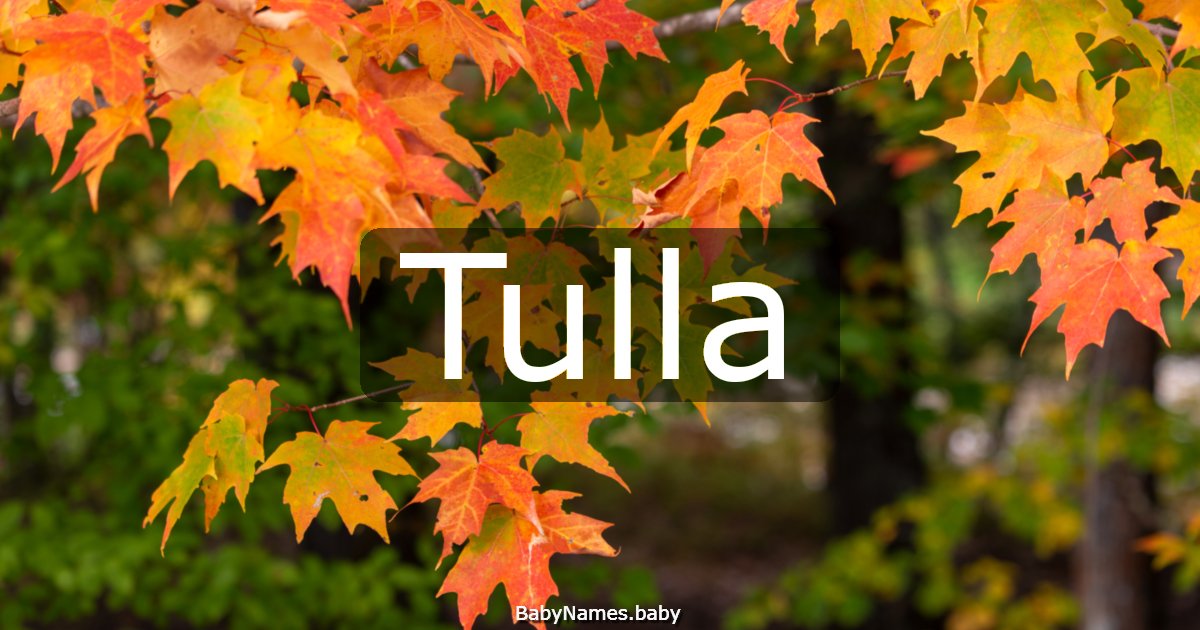Tulla