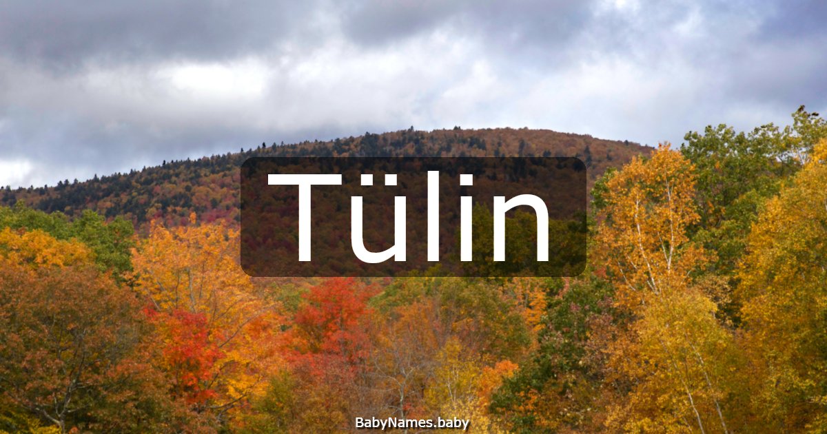 Tülin
