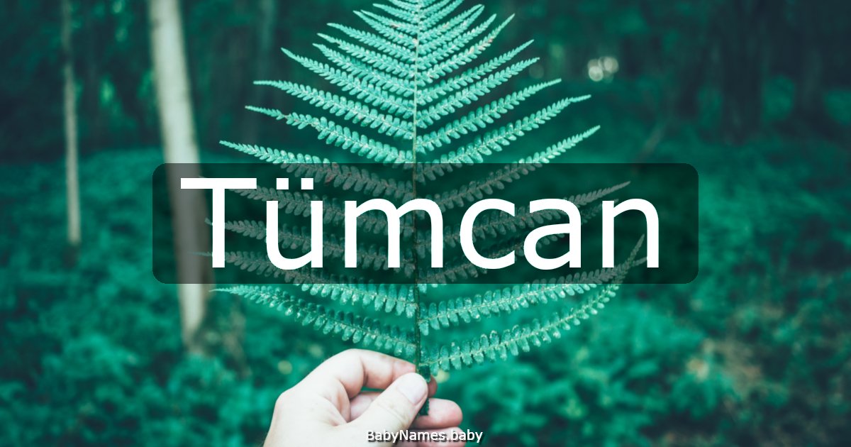 Tümcan