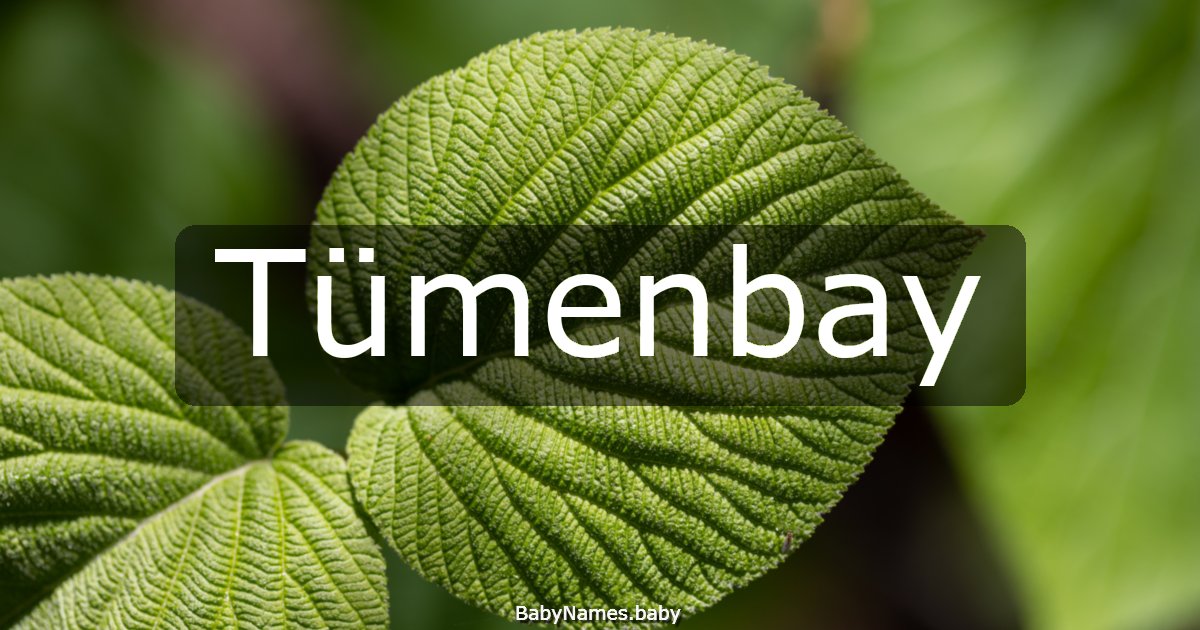 Tümenbay