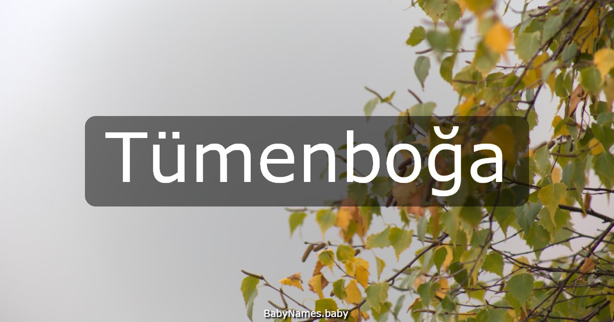 Tümenboğa