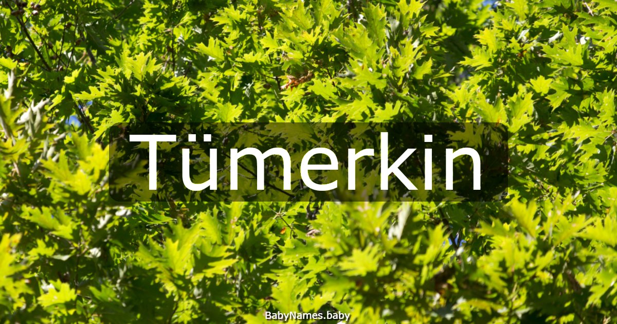 Tümerkin