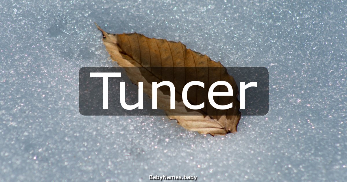 Tuncer