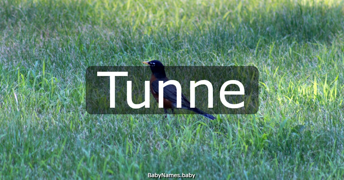 Tunne