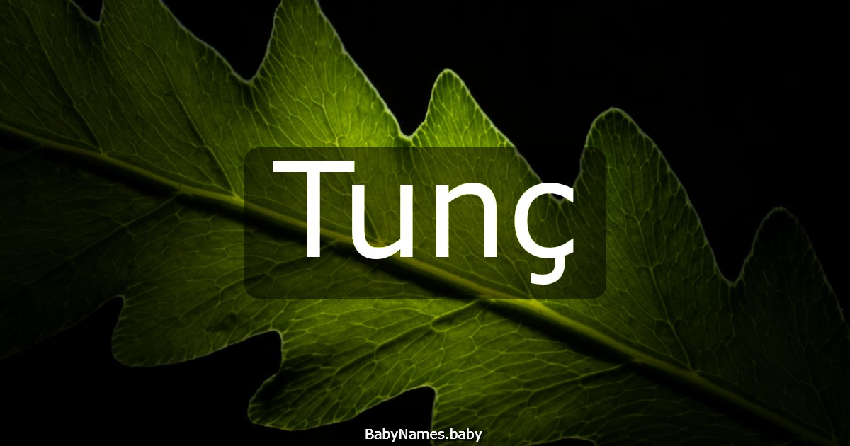 Tunç
