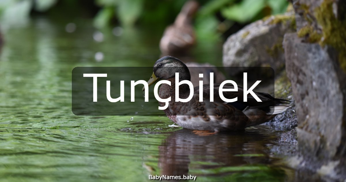Tunçbilek