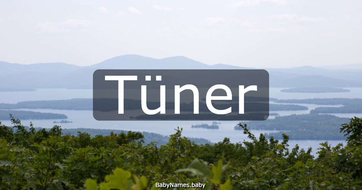 Tüner
