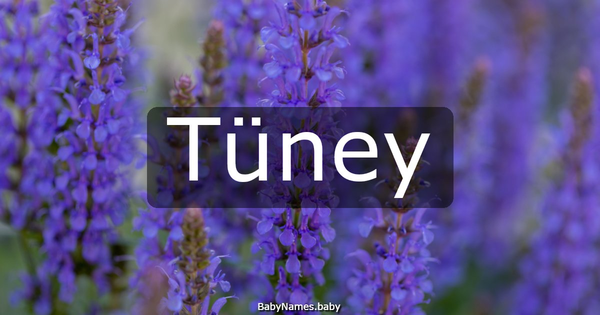 Tüney