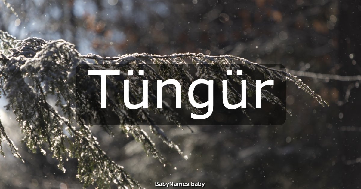 Tüngür