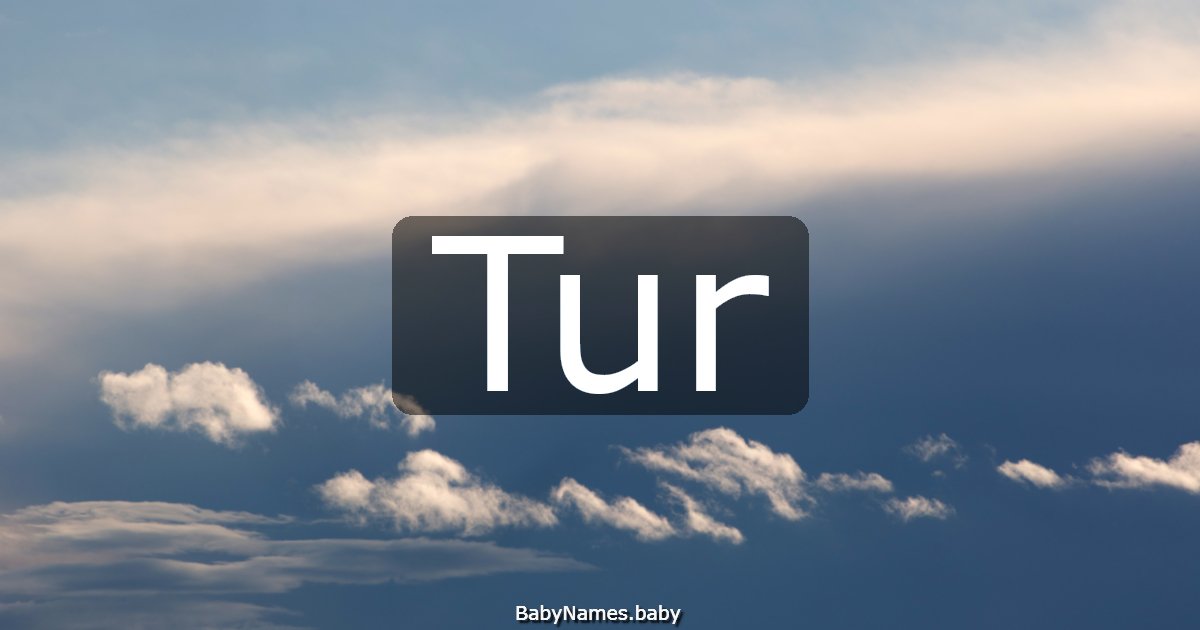 Tur