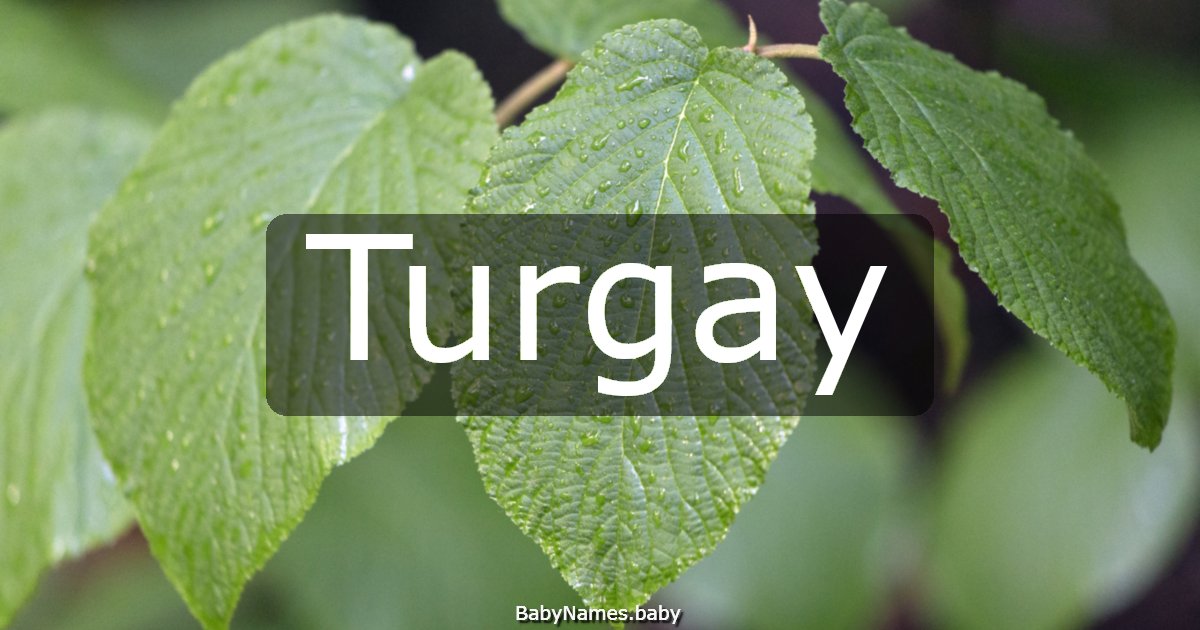 Turgay