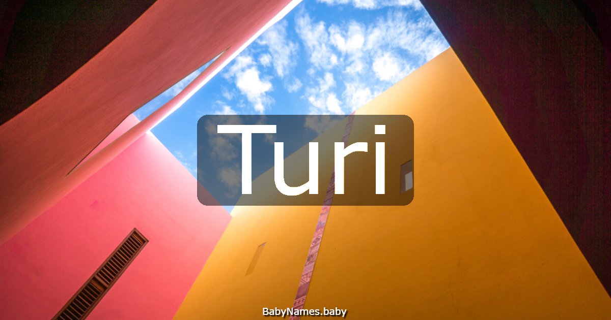 Turi